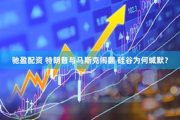 驰盈配资 特朗普与马斯克闹翻 硅谷为何缄默？