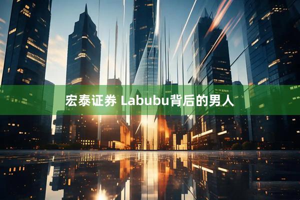 宏泰证券 Labubu背后的男人