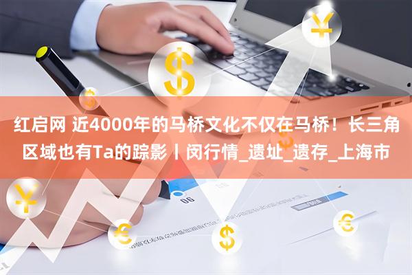 红启网 近4000年的马桥文化不仅在马桥！长三角区域也有Ta的踪影丨闵行情_遗址_遗存_上海市