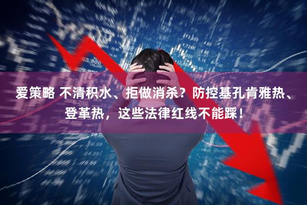 爱策略 不清积水、拒做消杀？防控基孔肯雅热、登革热，这些法律红线不能踩！