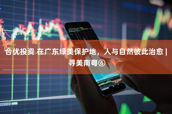 合优投资 在广东绿美保护地，人与自然彼此治愈 | 寻美南粤⑥
