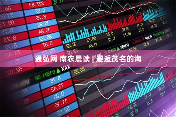 通弘网 南农晨读 | 邂逅茂名的海