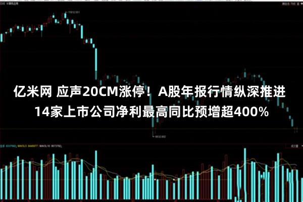 亿米网 应声20CM涨停！A股年报行情纵深推进 14家上市公司净利最高同比预增超400%